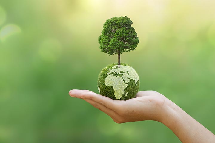 الإمارات.. نموذج عالمي ملهم للحفاظ على البيئة والتنمية المستدامة